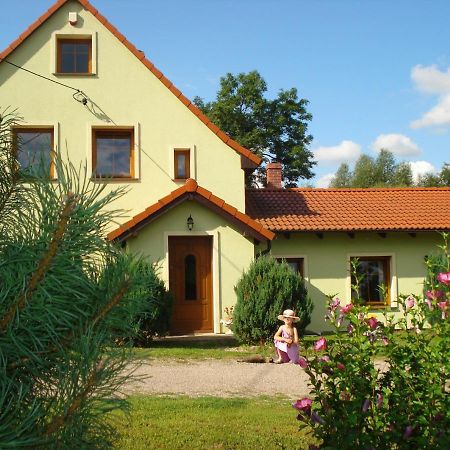 Agroturystyka Tam Gdzie Sosny Ścinawka Dolna 外观 照片