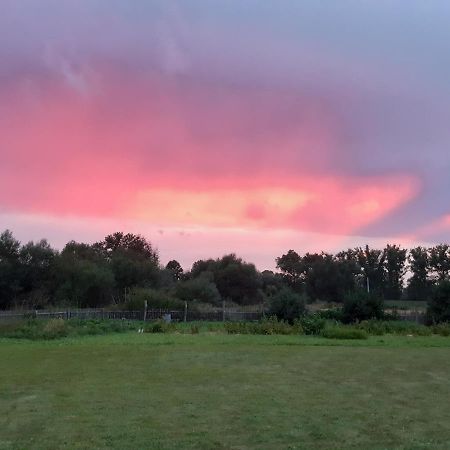 Agroturystyka Tam Gdzie Sosny Ścinawka Dolna 外观 照片