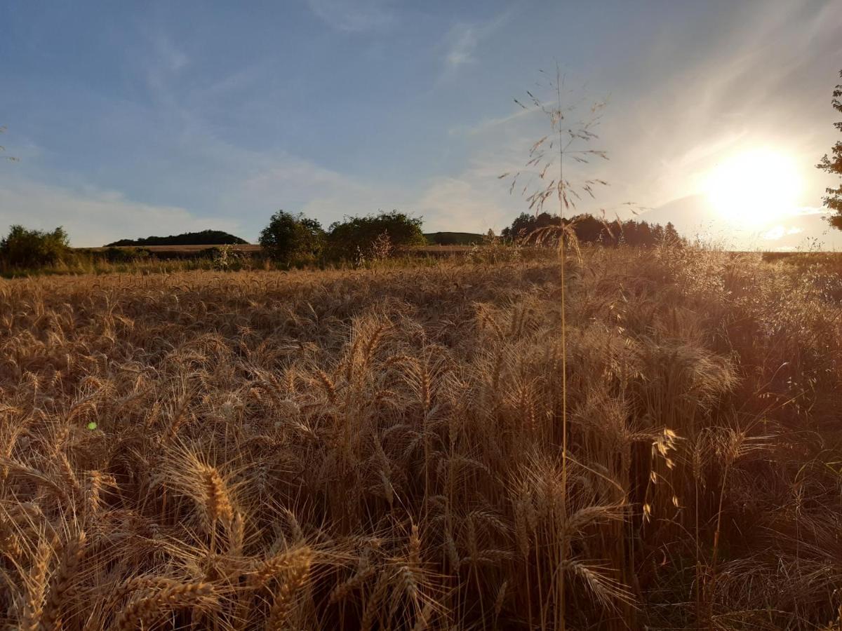 Agroturystyka Tam Gdzie Sosny Ścinawka Dolna 外观 照片