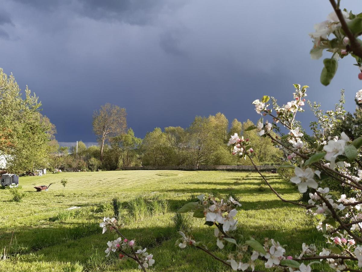 Agroturystyka Tam Gdzie Sosny Ścinawka Dolna 外观 照片