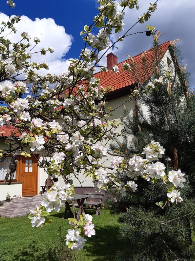 Agroturystyka Tam Gdzie Sosny Ścinawka Dolna 外观 照片